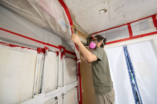 Best Forensic Mold Investigation  in Thoreau, NM