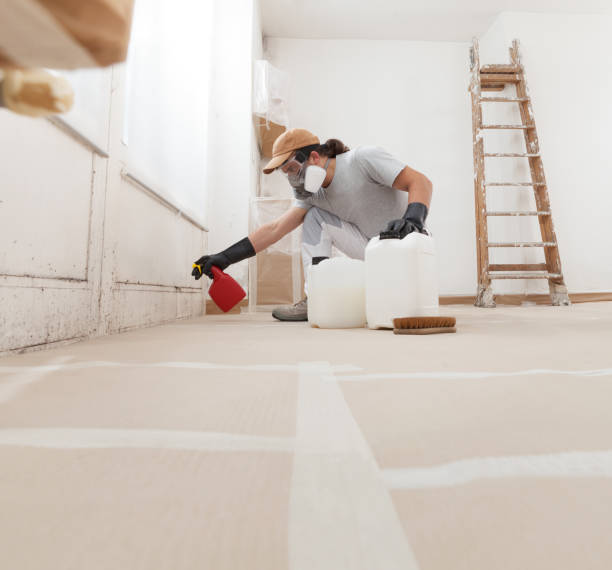 Best Biohazard Mold Removal  in Thoreau, NM