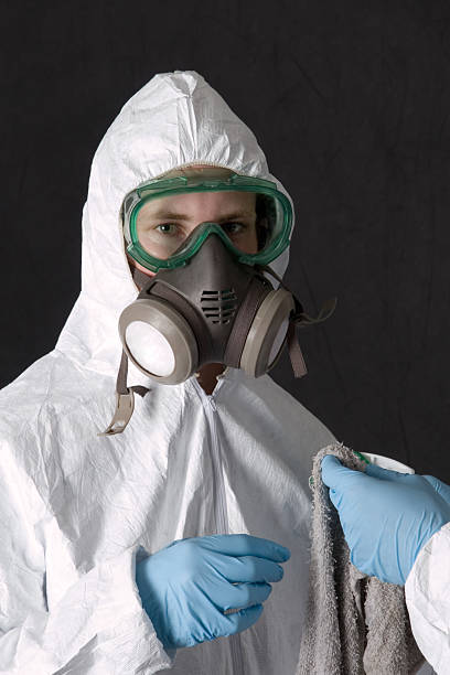 Best Black Mold Removal  in Thoreau, NM